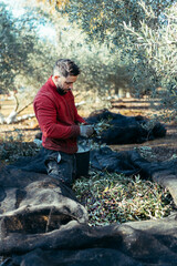 worker performing tasks in an olive orchard on his knees