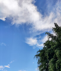 blue sky with clouds