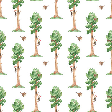 Watercolor seamless pattern with trees, woodpecker, birds, ladybugs, forest on white background