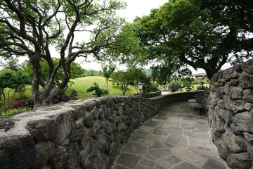 garden with stone wall 