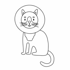 Cat in an Elizabethan collar. Vector illustration in doodle style isolated on white background.
