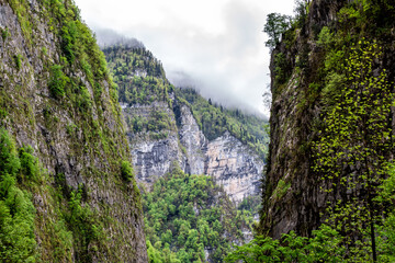 Mountain gorge with forest covered with low overcast clouds
