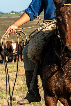 Detail Of A Cowboy With The Lasso In His Hand. This Worker From The South Of Brazil Is Called A Gaucho