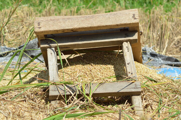 Place And Traditional Wooden Tool For Pounding Rice Grains In The Rice Field During Harvest Season