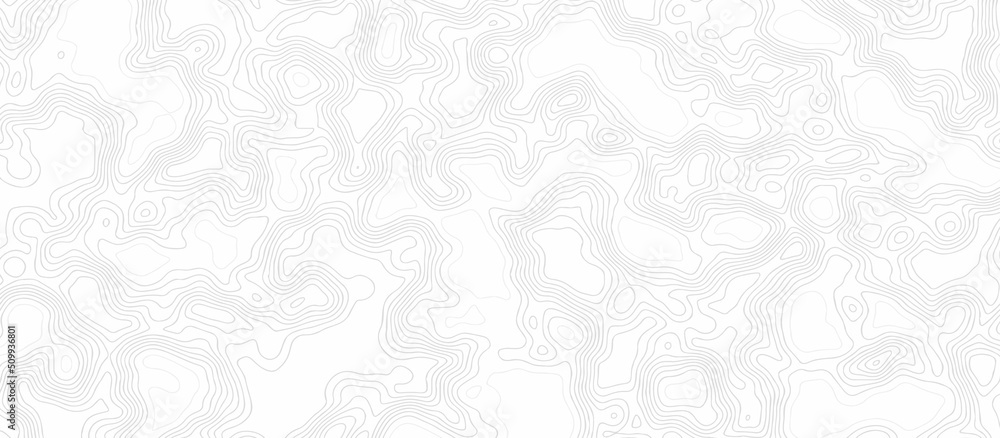 Poster background of the topographic map. topographical background. linear graphics. vector illustration. t