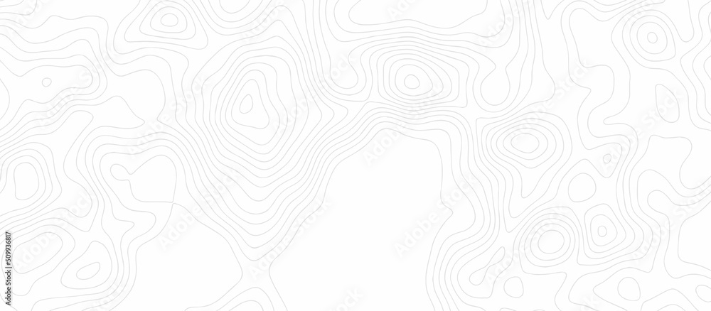 Poster vector topographic map white background. topography and geography map grid abstract backdrop. the st