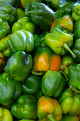 Fototapeta na wymiar Screensaver with green bell pepper. Close-up image..