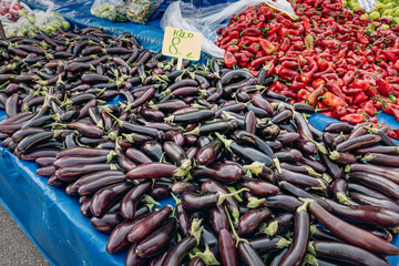 Fototapeta premium Sale of fresh abundant eggplant harvest at a local farmer's market in Turkey