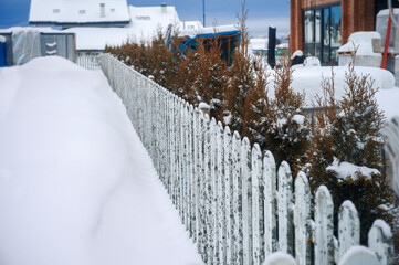 plots divided by wooden fence