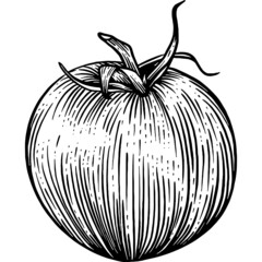 Hand drawn Fresh Tomato