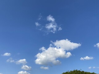 Sinduri Coastal Sand Dunes in Korea