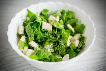 fresh green lettuce salad with mozzarella and herbs in a bowl