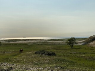 Sinduri Coastal Sand Dunes in Korea