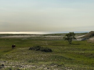 Sinduri Coastal Sand Dunes in Korea