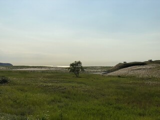 Sinduri Coastal Sand Dunes in Korea