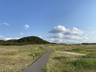 Sinduri Coastal Sand Dunes in Korea