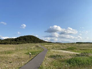 Sinduri Coastal Sand Dunes in Korea