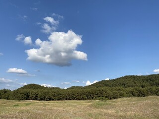 Sinduri Coastal Sand Dunes in Korea