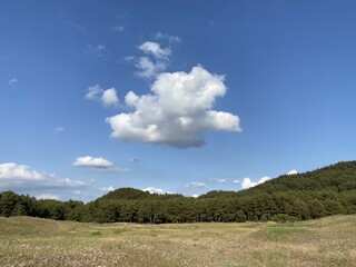 Sinduri Coastal Sand Dunes in Korea