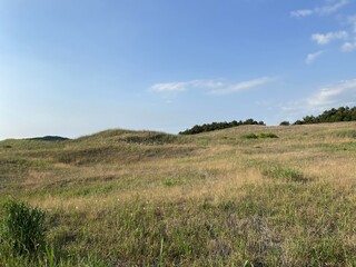 Sinduri Coastal Sand Dunes in Korea