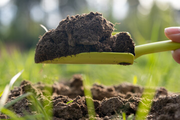 Close-up. A woman's hand loosens the ground in the garden with a garden shovel. Bright green grass...