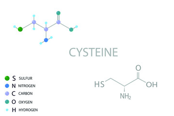 Cysteine molecular skeletal 3D chemical formula.	