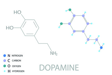 Dopamine molecular skeletal 3D chemical formula.	