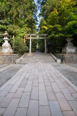 Fototapeta premium 新潟県 弥彦神社参道