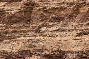 Soil on the ground as texture and background.