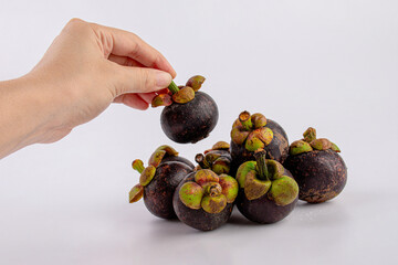 Hand and queen of Fruit in Thailand. Fresh mangosteen fruit and half mangosteen isolated on white background.