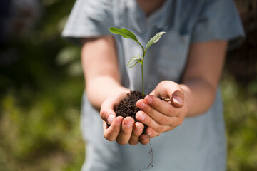 Concept of Earth day, organic gardening, ecology. spend free time do favourite hobby. life concept. child hands holding a seedling planted in the soil and blurred backgrounds. growing plants in nature