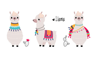 Pretty Wooly Llama or Alpaca Wearing Knitted Blanket Standing Vector Set © topvectors