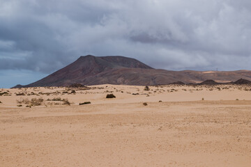 Fototapeta na wymiar Arid landscape of Fuerteventura. Volcanic panorama, with yellow sand dunes and volcano in the background on a cloudy day. Desert ecosystem of the Canary Islands.