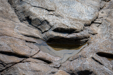 flaques d'eau sur un rocher à marée basse