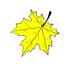 Vector golden maple leaf in flat doodle style, isolated on white background. Hand drawn clip art, symbol of autumn, nature, Canada