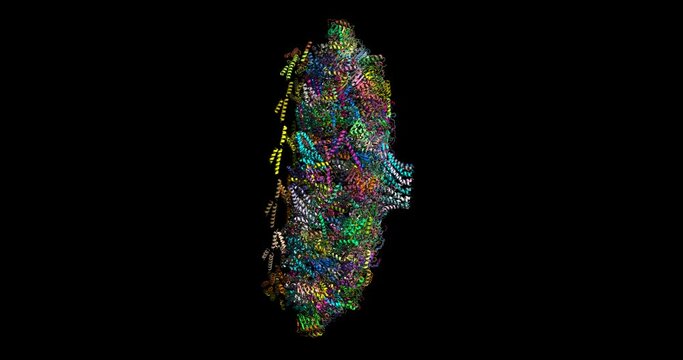 Helicobacter secretion system apparatus,nanomachine,3D molecule, spinning 4K
