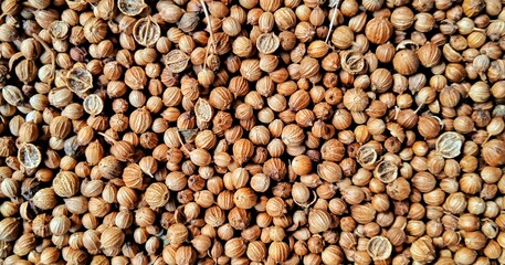 A spreaded dried coriander seed on black background. Ingredient background design. Available for text. Suitable for the food advertising of company and industry, poster, backdrop, flyer, etc.