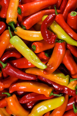 Hot peppers, red and yellow chillies.