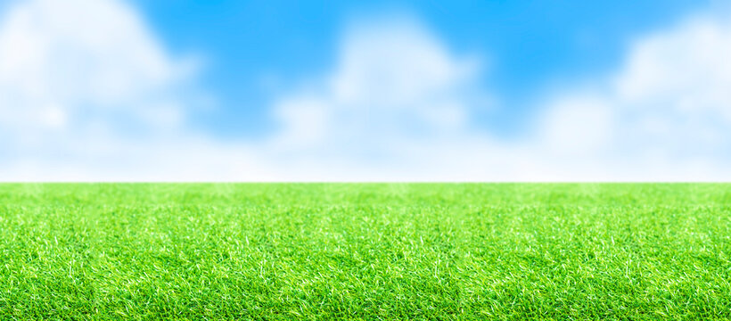 Seamless horizontal image of blue sky and lawn