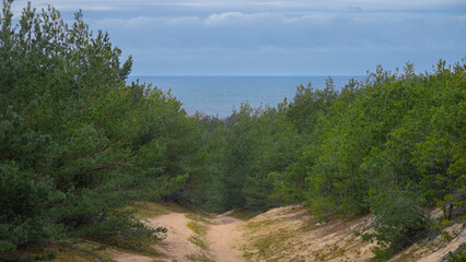Seashore warm afternoon sandy beach