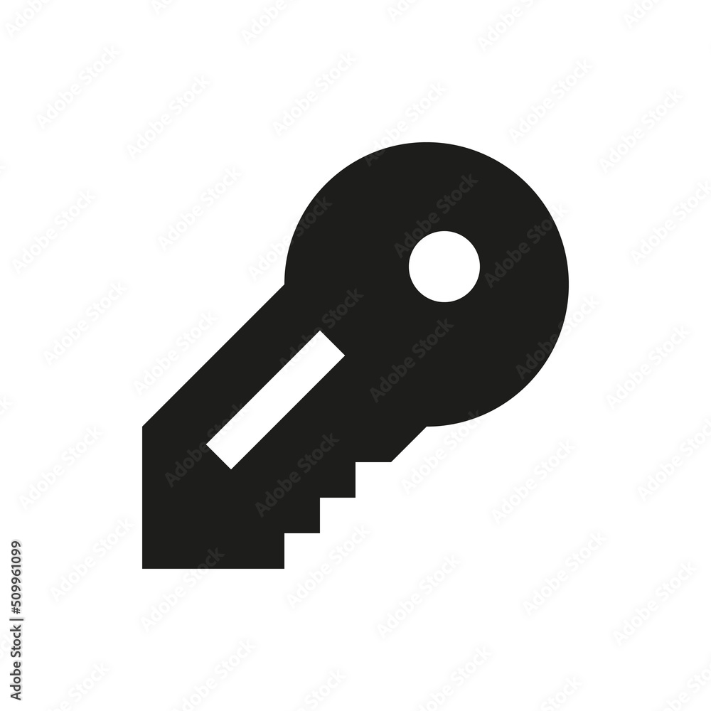 Poster password key solid icon. account access glyph vector symbol.
