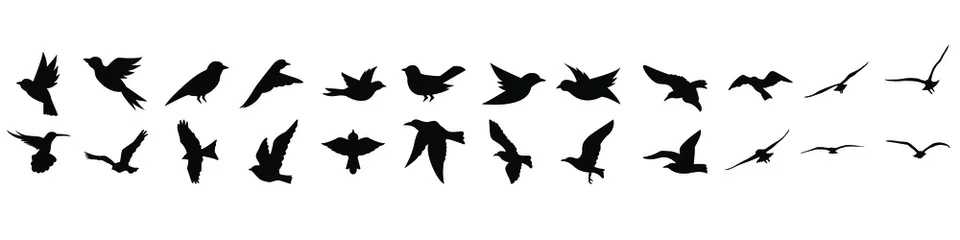 Fotobehang Birds icon vector set. fly illustration sign collection. nature symbol. © Denys