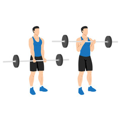 Fototapeta na wymiar Man doing Barbell curl. Flat vector illustration isolated on different layers. Workout character