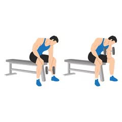 Muurstickers Man doing Dumbbell concentration curl. Flat vector illustration isolated on different layers. Workout character © lioputra
