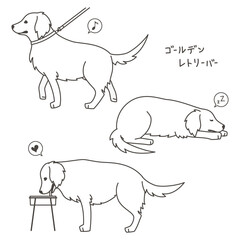 ゴールデンレトリーバー