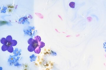 Obraz na płótnie Canvas Wildflowers in milky water with paint streaks. Purple and blue. Abstraction, background image. Tenderness and weightlessness.