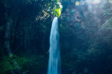 Obraz premium Waterfall scenery background surrounded by greenery in the forest