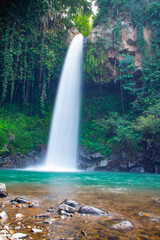 Waterfall scenery background surrounded by greenery in the forest