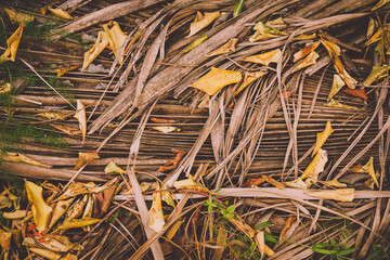 Organic boho and exotic natural background