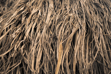 Long dry thin grass, agriculture harvest, pile of hay straw. Texture detail. Association brittle lifeless damage diseased hair. Thatched background wallpaper. Shades of gray brown more tone in stock